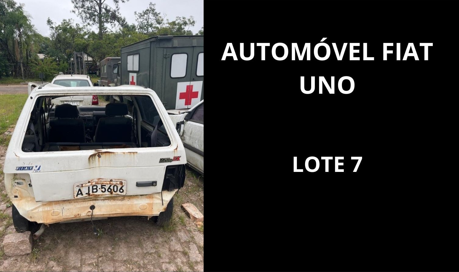 Foto 12