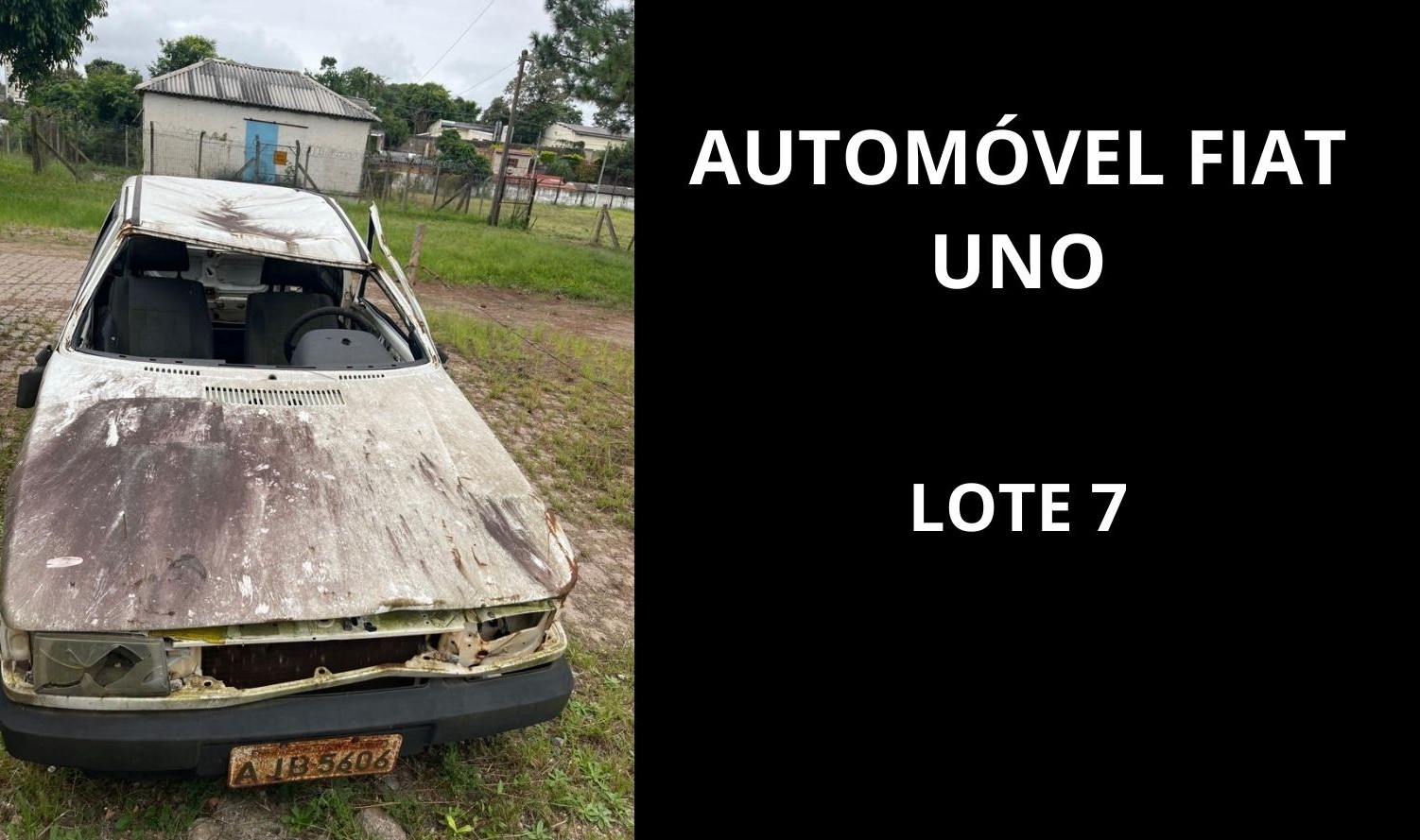 Foto 8
