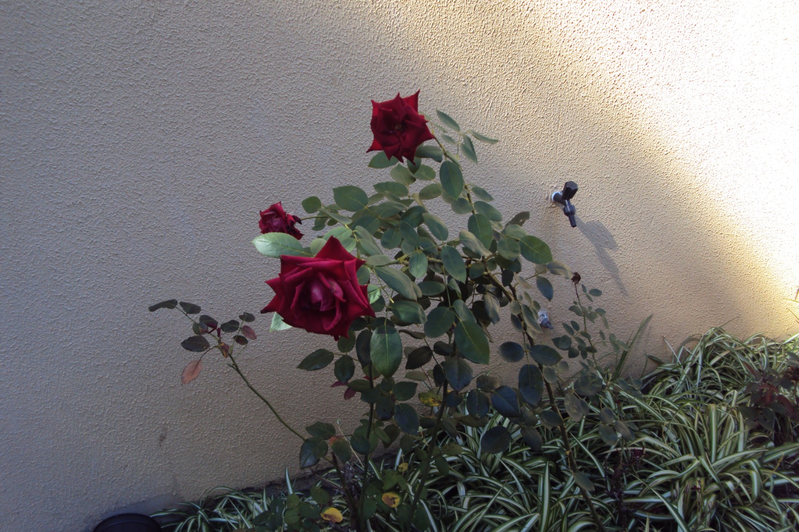 Foto 6
